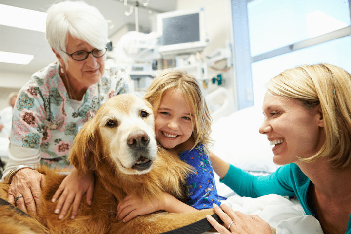 Animal assisted intervention